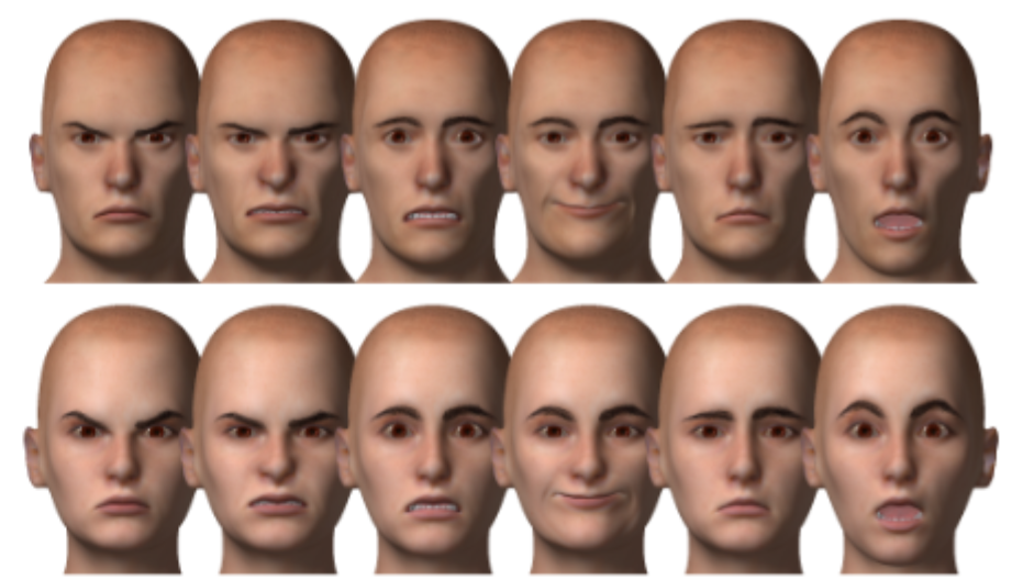 FaReT: A free and open-source toolkit of three-dimensional models and software to study face perception.