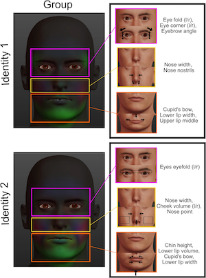 Shape information used for face identity and expression recognition is highly versatile and context specific