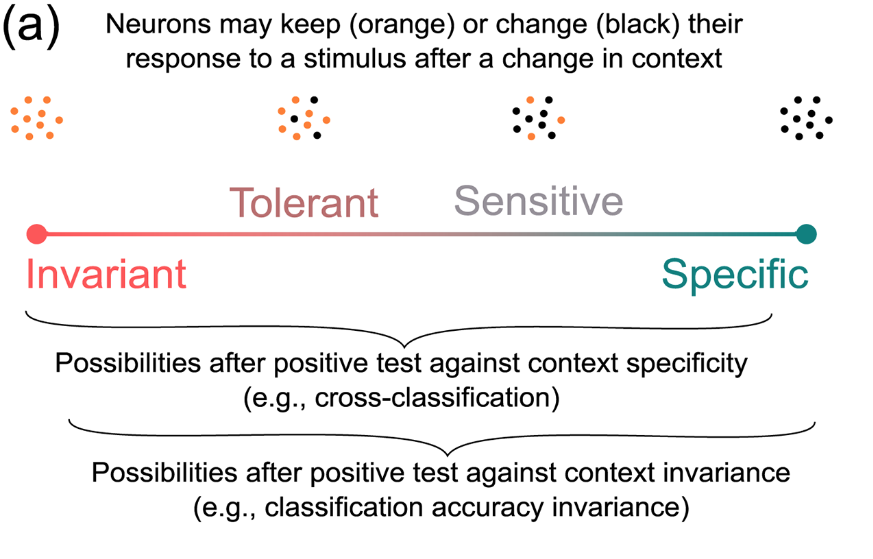 Improving the validity of neuroimaging decoding tests of invariant and configural neural representation