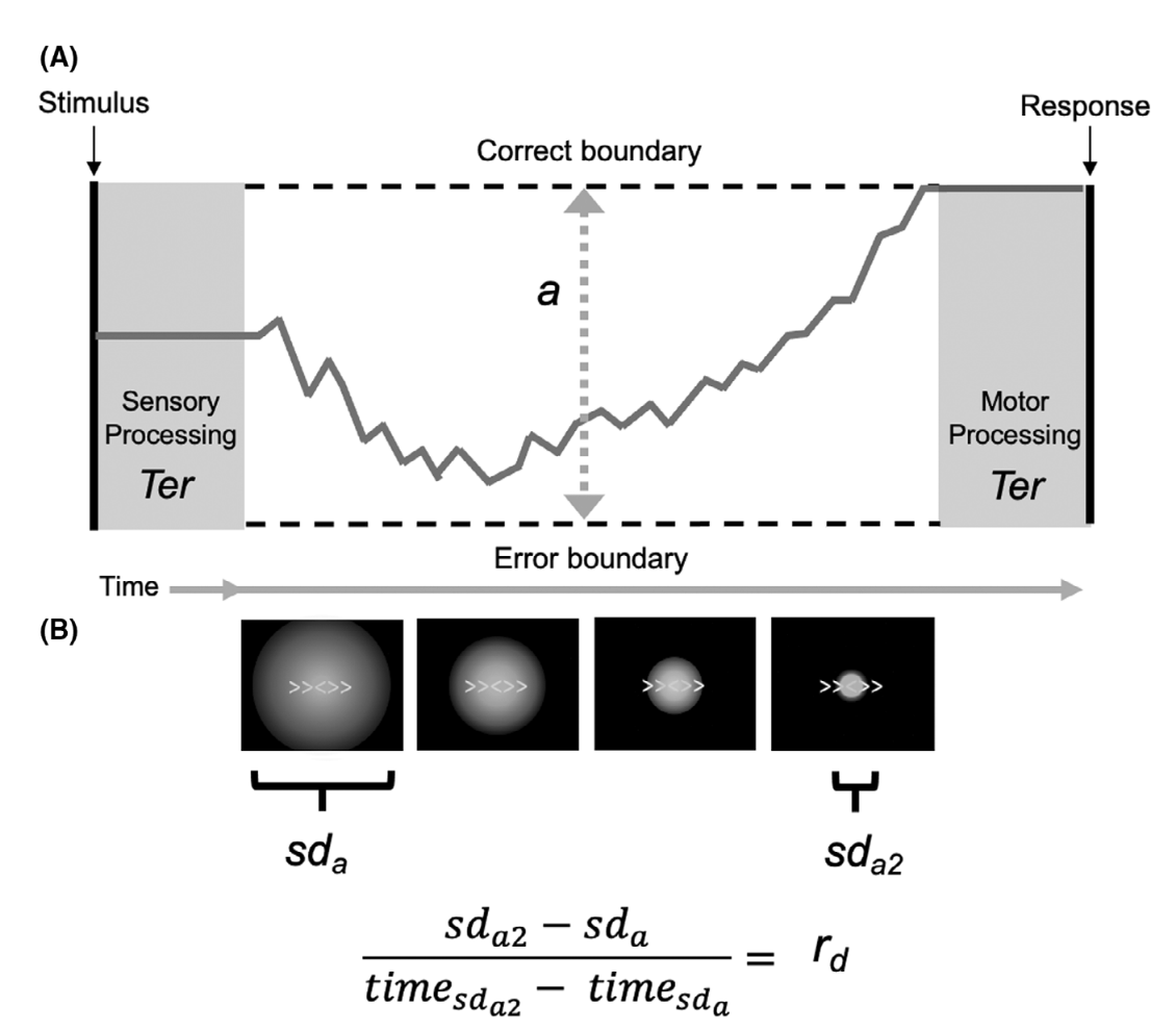 Exploring the role of post-error processing in social anxiety across age.